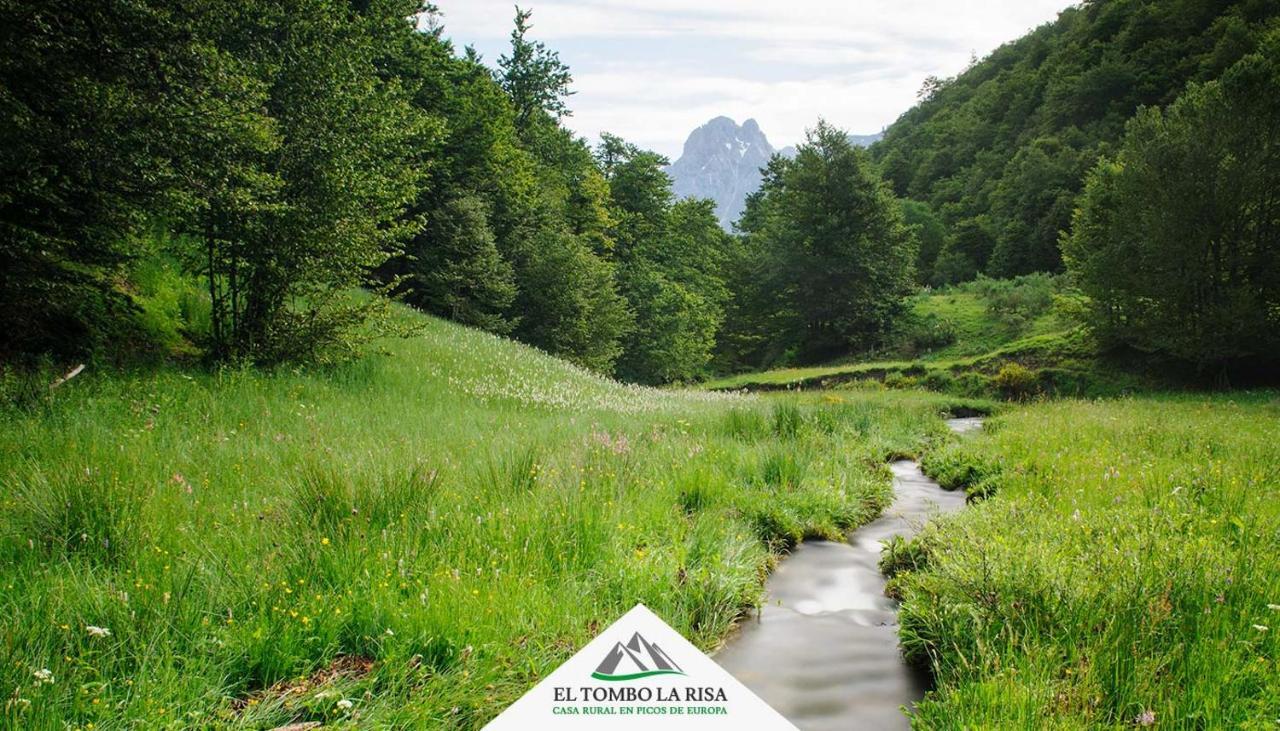 Casa Rural El Tombo La Risa Santa Maria de Valdeon 외부 사진